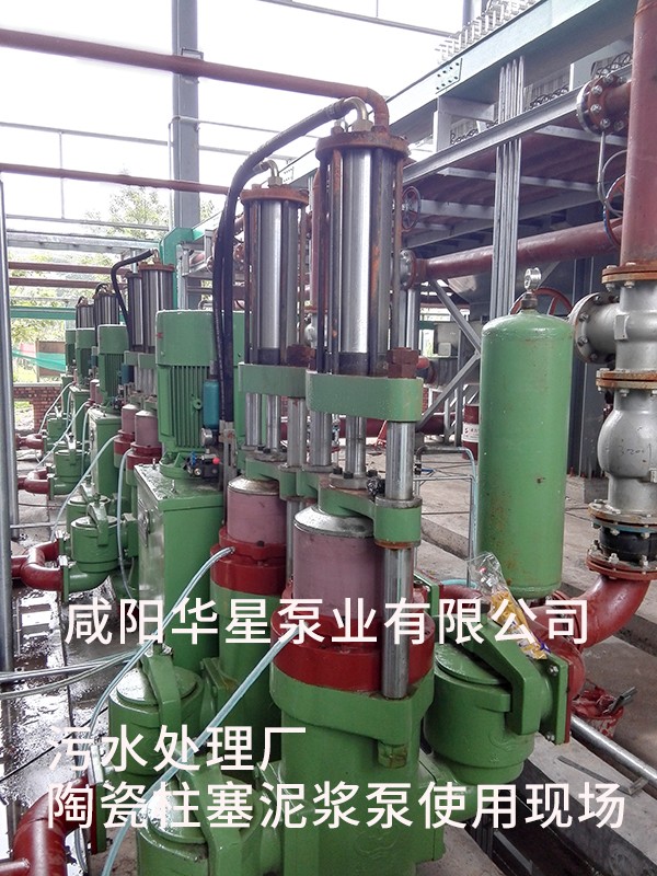 山東淄博光大水務-市政污水處理-水印5